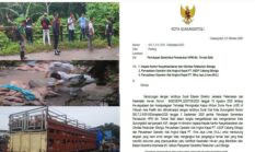 Pemerintah Kota Gunungsitoli Perketat Pengawasan Lalu Lintas Ternak Babi untuk Cegah Penyebaran ASF