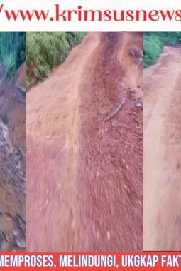 Putra Daerah Desak Pemkab Lingga Perhatikan Jalan yang Tak Pernah Dibangun di Desa Sekanah