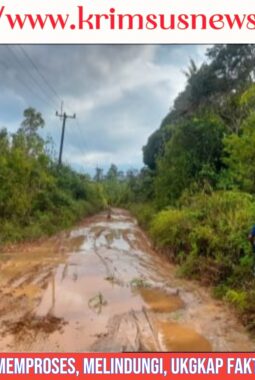 Masyarakat Desa Resang Kecewa, Janji Pembangunan Jalan dari Pemkab Lingga Belum Ada Kejelasan