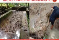 {"data":{"activityName":"","alias":"","appversion":"0.0.1","editType":"image_edit","exportType":"ads_export","filterId":"","imageEffectId":"","os":"android","pictureId":"041f3010a2814cfcb95dc3b8c52992ce","playId":"","product":"lv","infoStickerId":"","stickerId":""},"source_type":"vicut","tiktok_developers_3p_anchor_params":"{"source_type":"vicut","client_key":"aw889s25wozf8s7e","picture_template_id":"","capability_name":"retouch_edit_tool"}"}