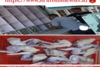 {"data":{"activityName":"","alias":"","appversion":"0.0.1","editType":"image_edit","exportType":"ads_export","filterId":"","imageEffectId":"","os":"android","pictureId":"6091d7fc1ec64d94920082d3b1571779","playId":"","product":"lv","infoStickerId":"","stickerId":""},"source_type":"vicut","tiktok_developers_3p_anchor_params":"{"source_type":"vicut","client_key":"aw889s25wozf8s7e","picture_template_id":"","capability_name":"retouch_edit_tool"}"}