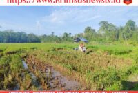 {"data":{"activityName":"","alias":"","appversion":"0.0.1","editType":"image_edit","exportType":"ads_export","filterId":"","imageEffectId":"","os":"android","pictureId":"9949190b1bb84536a161af8c31ba0627","playId":"","product":"lv","infoStickerId":"","stickerId":""},"source_type":"vicut","tiktok_developers_3p_anchor_params":"{"source_type":"vicut","client_key":"aw889s25wozf8s7e","picture_template_id":"","capability_name":"retouch_edit_tool"}"}