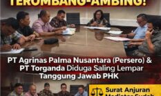 171 Karyawan Mengaku Dizalimi, PT. Agrinas Palma Nusantara Dan PT. Torganda Saling Lempar Tanggung Jawab PHK