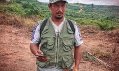 Ketua Kelompok Tani Dusun Tiga Ungkap Dugaan Perusakan Sawit oleh PT MAS, Warga Samarapan Mengadu