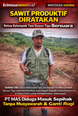 Ketua Kelompok Tani Dusun Tiga Ungkap Dugaan Perusakan Sawit oleh PT MAS, Warga Samarapan Mengadu