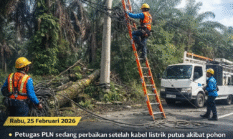 RESPON PLN KAMPAR HULU DINILAI TAK PROFESIONAL, LISTRIK PADAM 9 JAM AKIBAT POHON TUMBANG