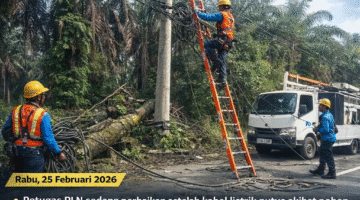 RESPON PLN KAMPAR HULU DINILAI TAK PROFESIONAL, LISTRIK PADAM 9 JAM AKIBAT POHON TUMBANG