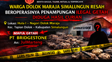 Warga Dolok Maraja Simalungun Resah, Penampungan Getah Diduga Ilegal dan Berasal dari Hasil Curian