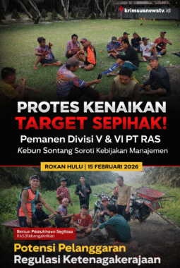 Protes Kenaikan Target Sepihak, Pemanen Divisi V dan VI Soroti Kebijakan Manajemen PT RAS Kebun Sontang