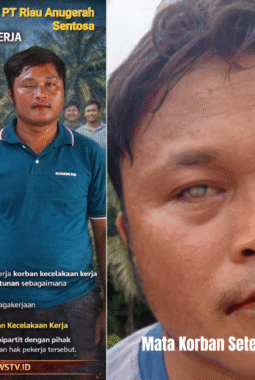 Berita yang Anda susun sudah cukup Diduga Abaikan Hak Pekerja Korban Kecelakaan Kerja, Karyawan Kebun Sawit di Rokan Hulu Ajukan Perundingan Bipartit