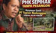 Diduga PHK Sepihak Tanpa Pesangon, Karyawan Perkebunan Sawit PT Tapian Nadenggan Tempuh Jalur Hukum