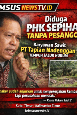 Diduga PHK Sepihak Tanpa Pesangon, Karyawan Perkebunan Sawit PT Tapian Nadenggan Tempuh Jalur Hukum